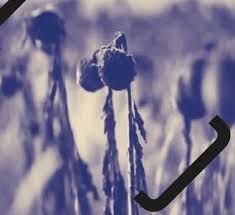 Promítání filmu Krajina v tísni