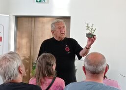 Můj koníček bonsaje