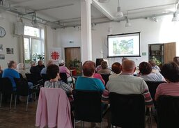 Můj koníček bonsaje