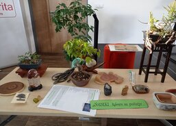 Můj koníček bonsaje