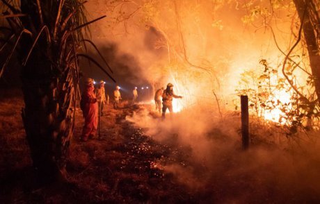 Filmový klub - Incendios