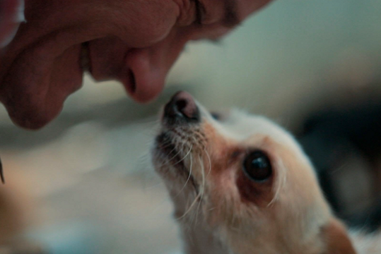 Vše si zaslouží žít