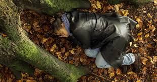 Filmový klub - Zkompostuj mě